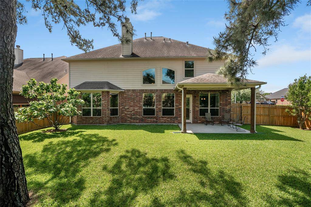 Picturesque backyard with an amazing fig tree to enjoy once a year from your own yard.