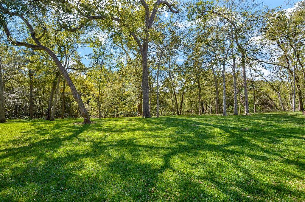 Another View of the 1+/- Acre with its mature trees plus a firepit out back!