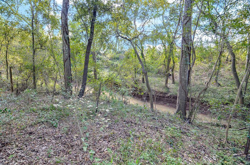 Jones Creek runs behind this amazing property!