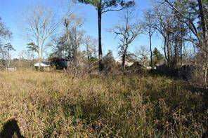 View from the back center of the Lot.