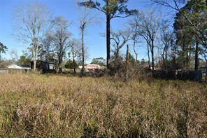 Back view from the center of the Lot.