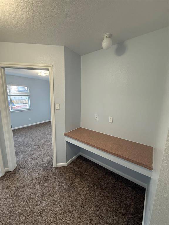 Study Area