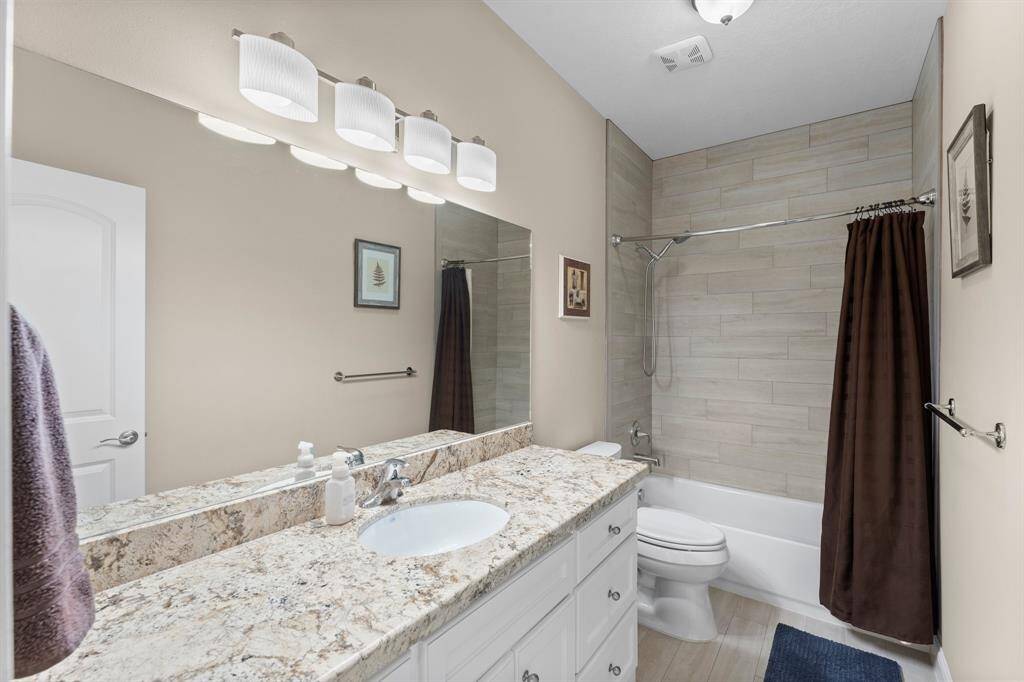 Lower level full bathroom