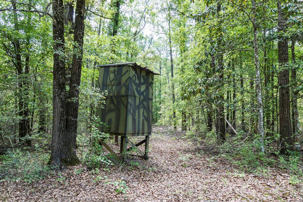 Deer blind