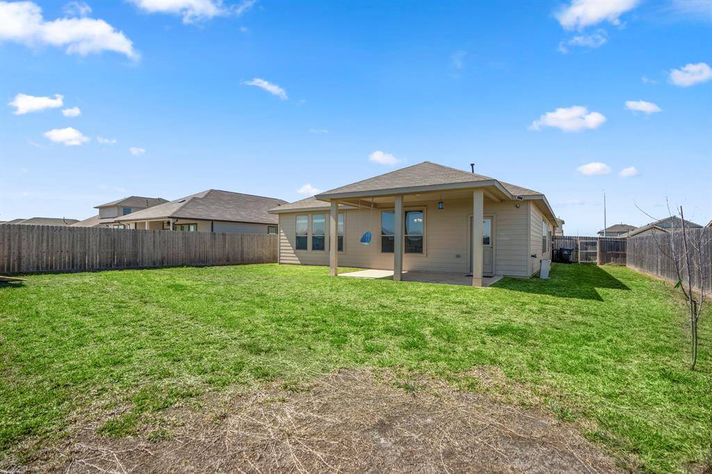 Expansive backyard perfect for outdoor activities and relaxation.