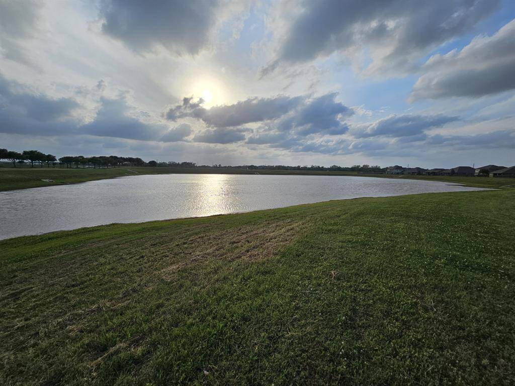 Tranquil pond