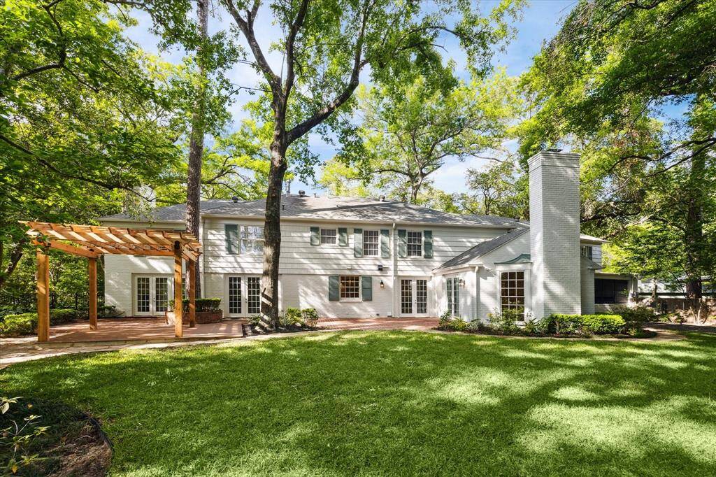 Backyard.