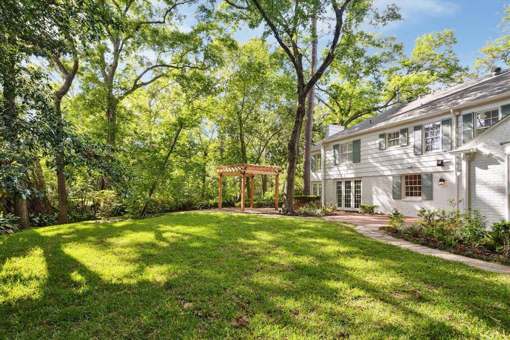 Backyard.