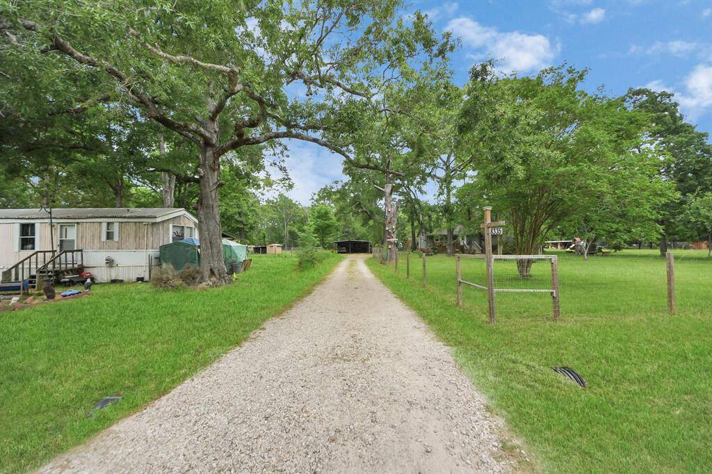 THE DRIVEWAY
