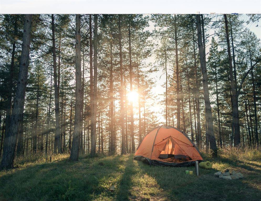 Enjoy camping close by at the Sam Houston National Forest!*This picture only illustrates the activities you can enjoy, but is not representative of the actual location.