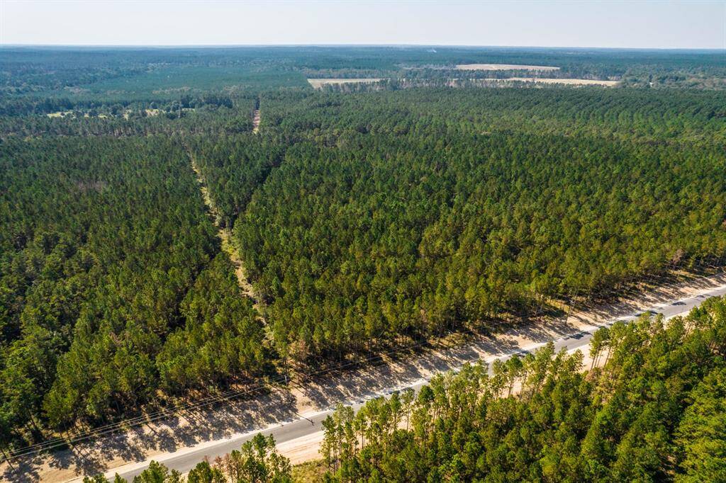 Bordering Sam Houston National Forest, this community is surrounded by nature's beauty.