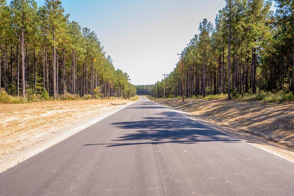 Drive through paved roads surrounded by beautiful, mature trees