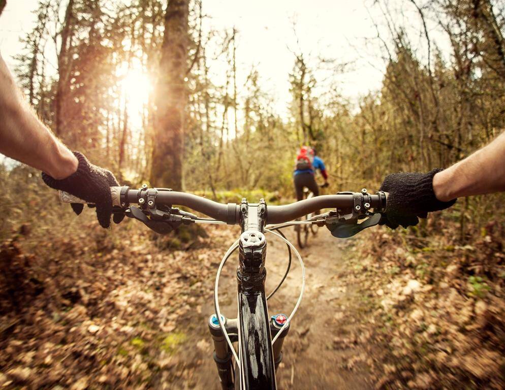 There are tons of hiking and biking opportunities like the Lone Star Hiking Trail, or the Double Lake Mountain Bike Trail*This picture only illustrates the activities you can enjoy, but is not representative of the actual location.