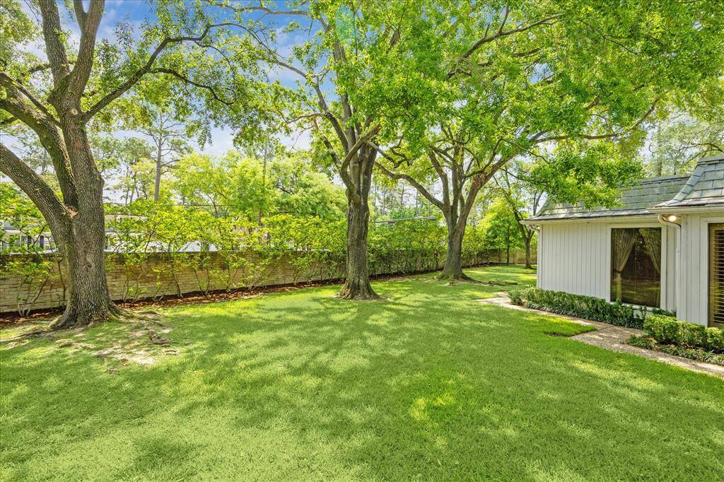 backyard looking toward brick wall