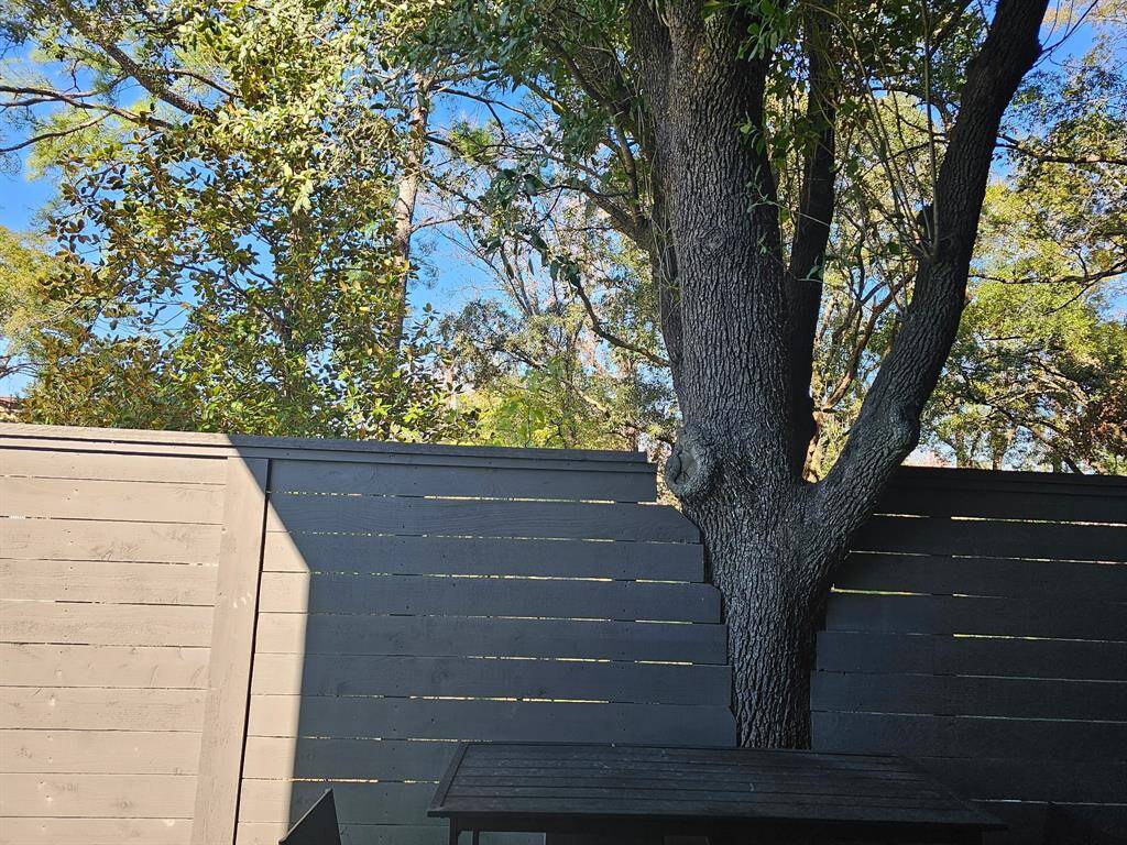 Backyard - 1st Floor