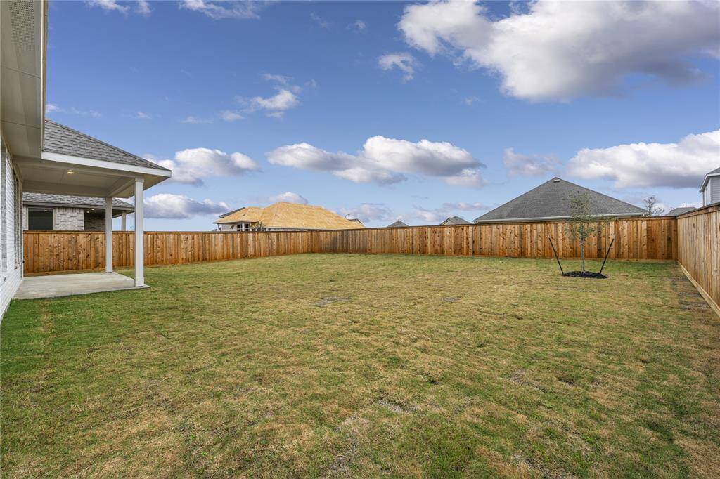 Expansive backyard