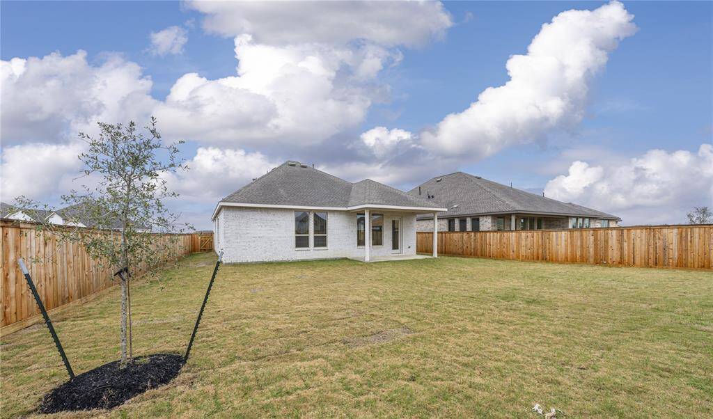 Expansive backyard