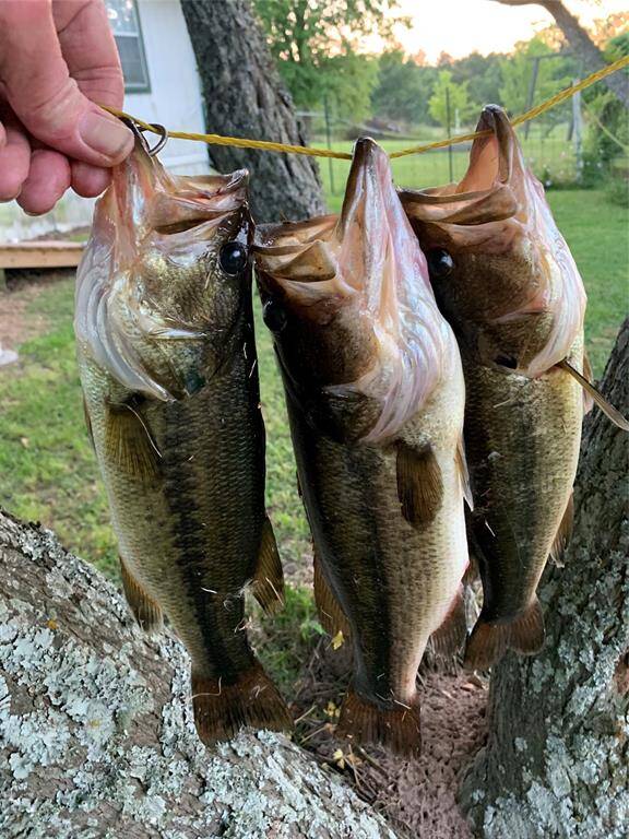 Caught in the stocked pond!