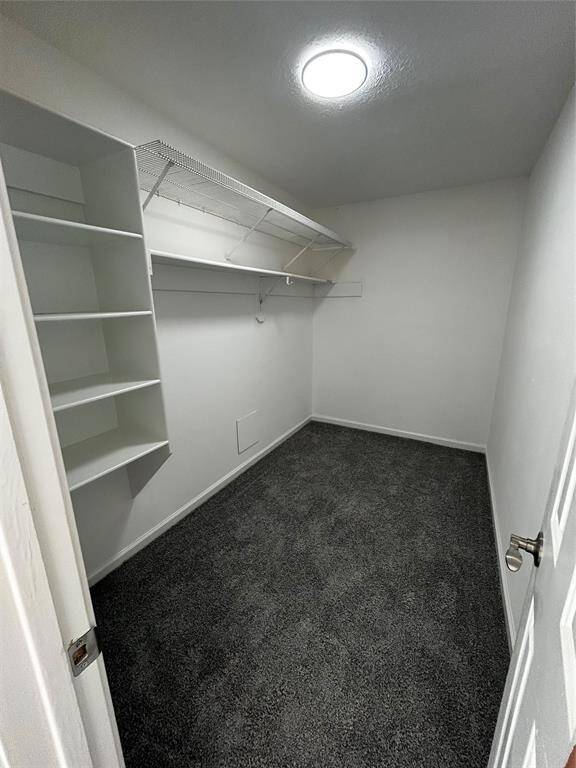 Master bathroom closet