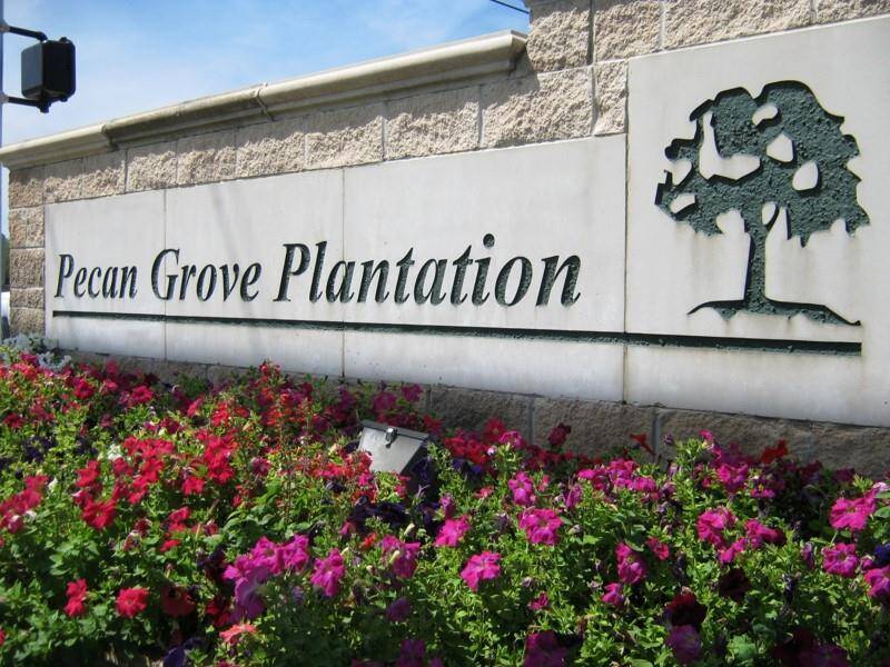 Welcome to Pecan Grove Plantation!