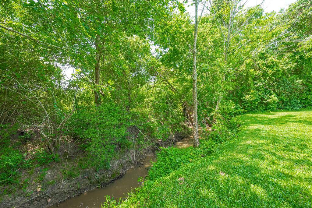 Seasonal wet water creek