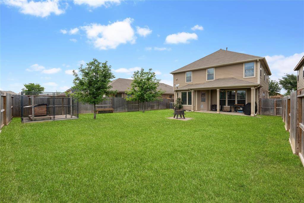 Back yard