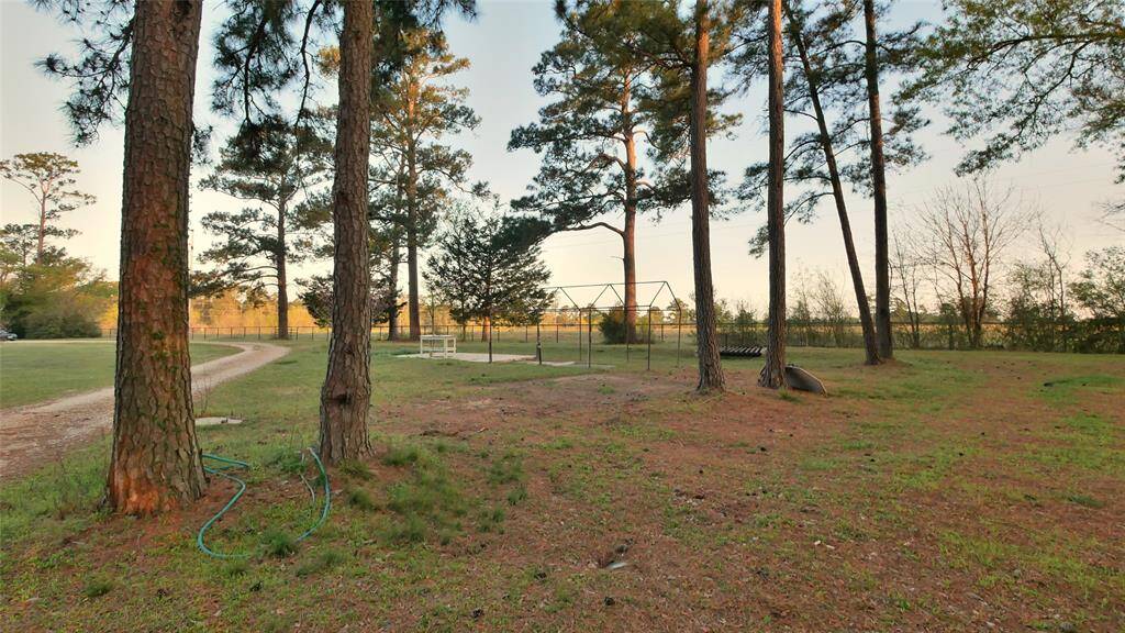 View of the Cleared Property