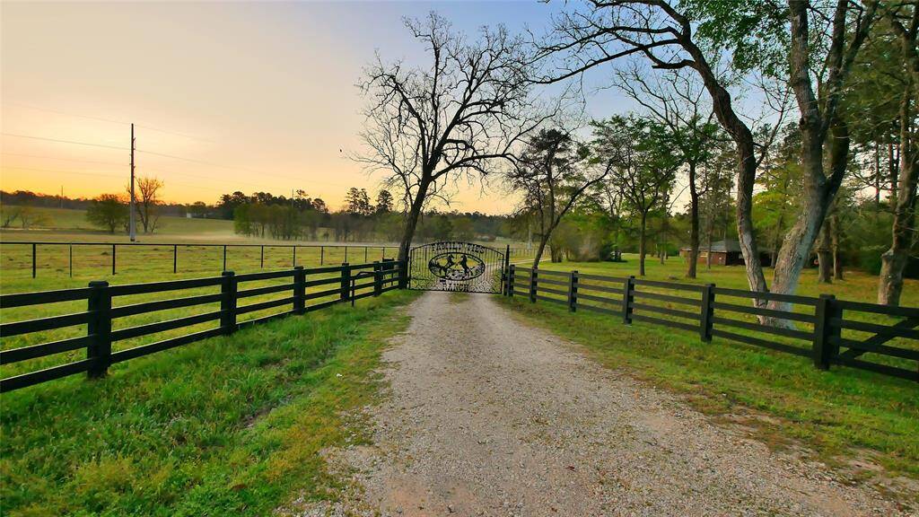 Private Gate to the property with private road leading to the property