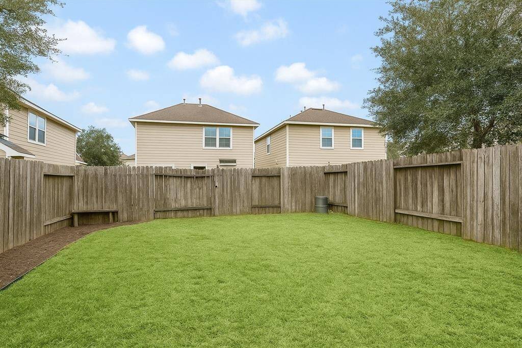 Pretty green backyard