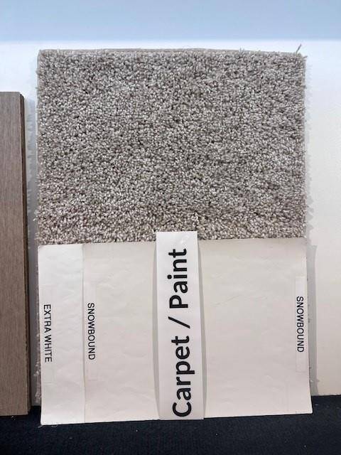 Carpet & Paint Selections