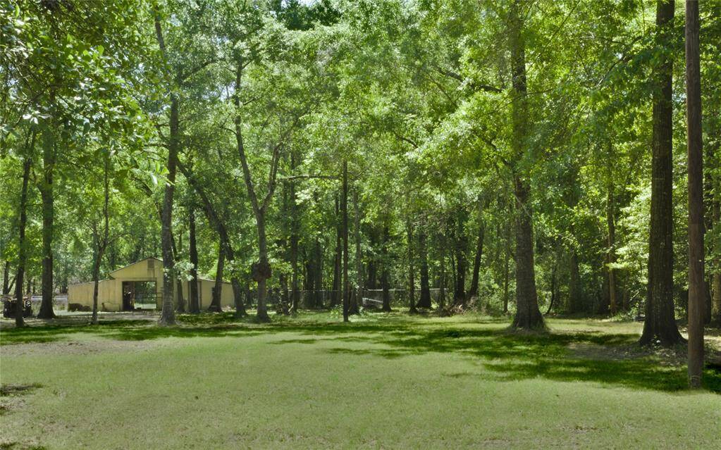 Spacious wooded lot with partial clearing—offering natural beauty and plenty of potential for future growth or development.