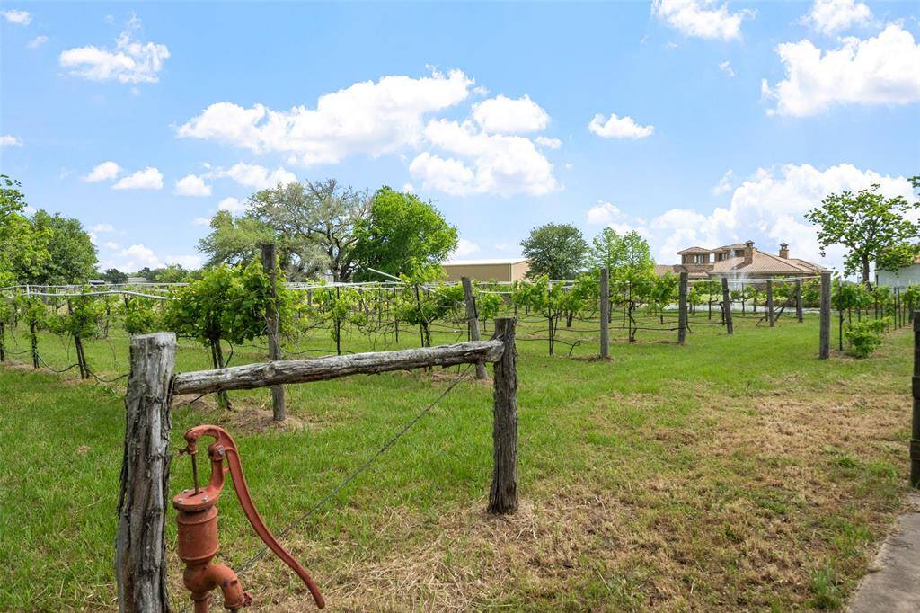 Rows of grapevines nod to the property's wine-producing potential and agricultural charm.