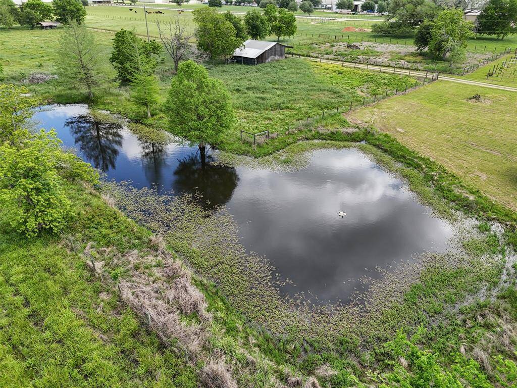 Private pond with mature trees and open sky views—perfect for fishing, wildlife watching, or adding serene visual appeal.