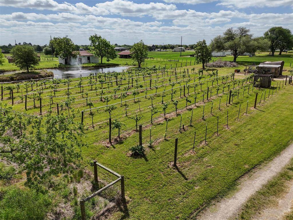 Beautiful vineyard rows with a fountain pond nearby—an ideal setting for boutique winemaking or scenic outdoor gatherings.
