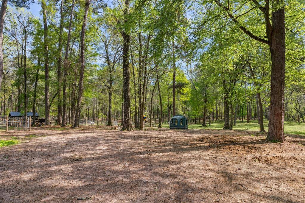 Mature, sprawling trees providing shade and privacy