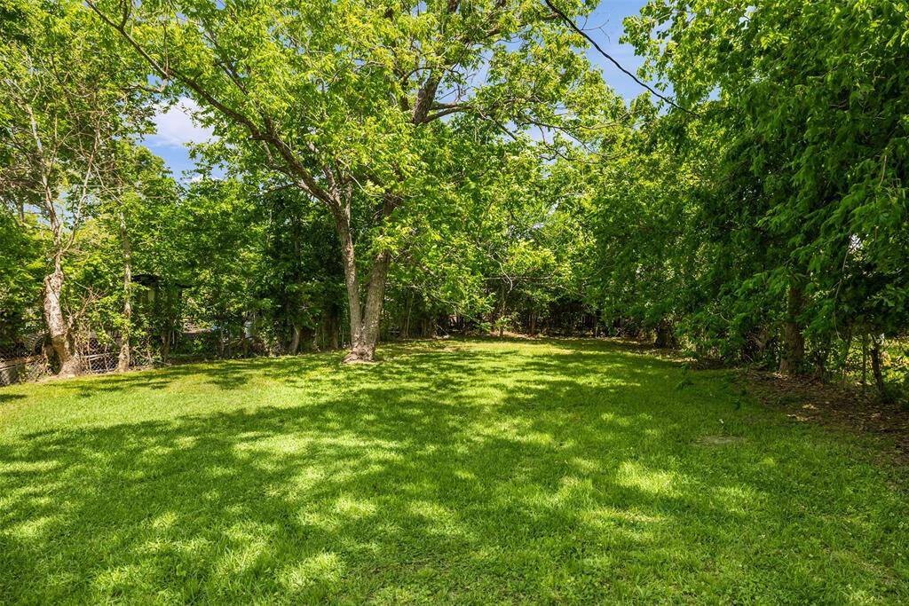 Spacious back yard.