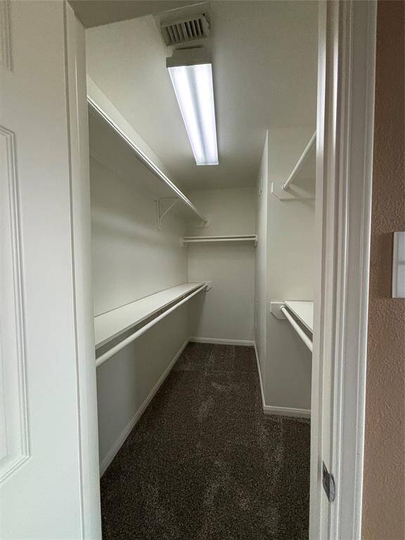 Primary  closet
