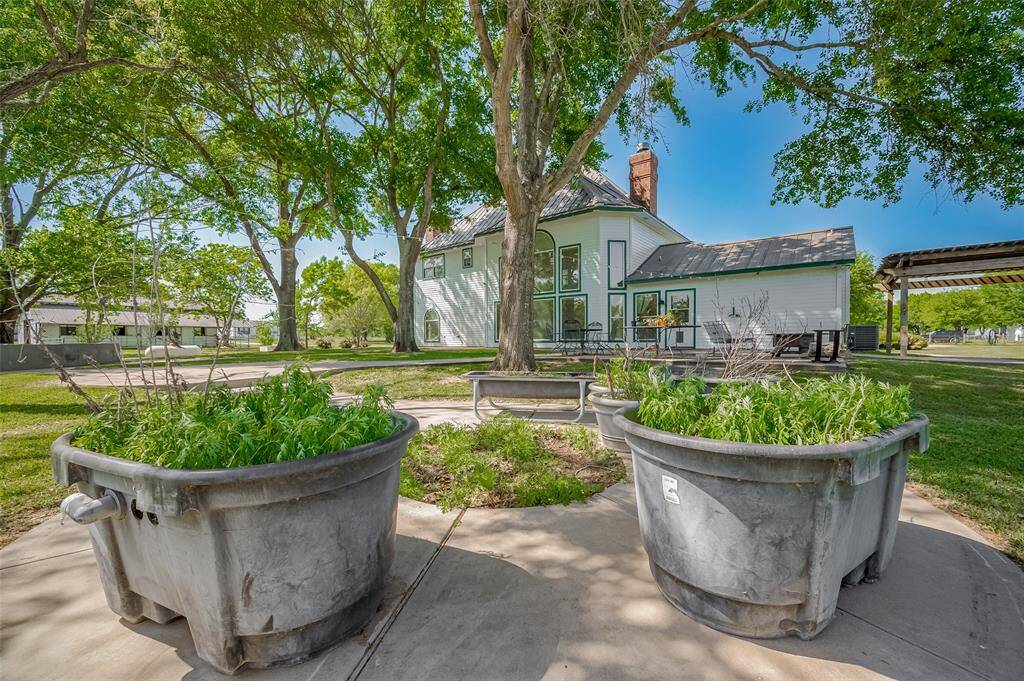 Back yard of main home