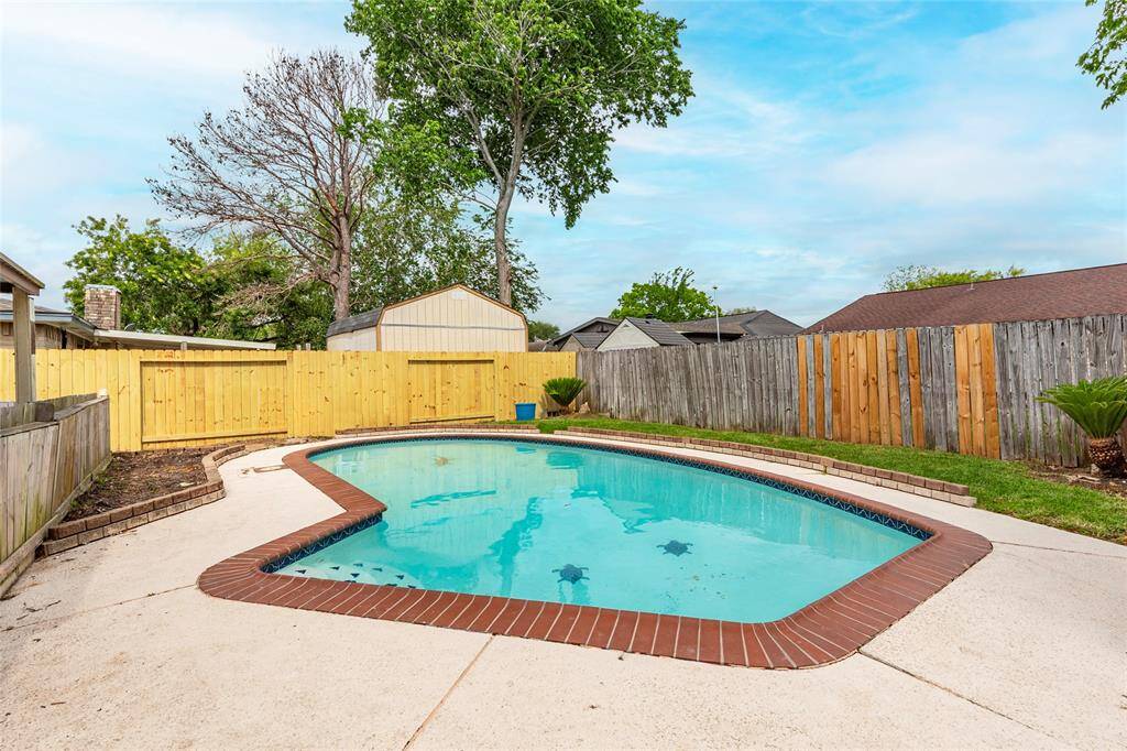Backyard Pool