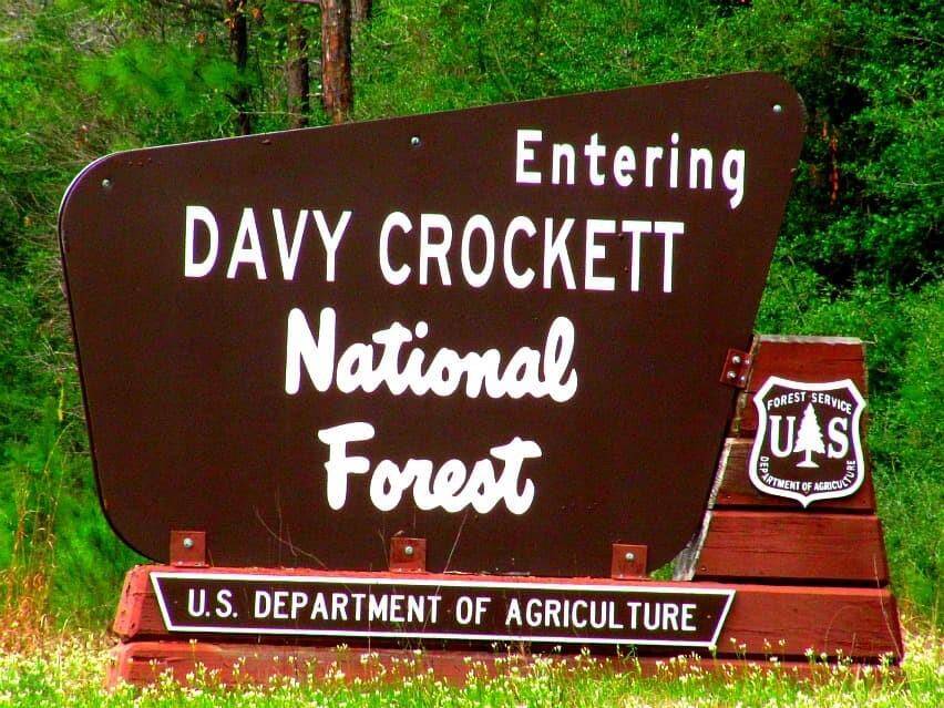backs up to the forest
