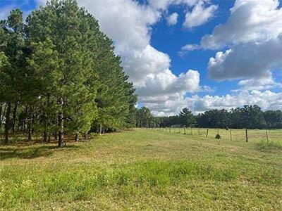 gorgeous open field