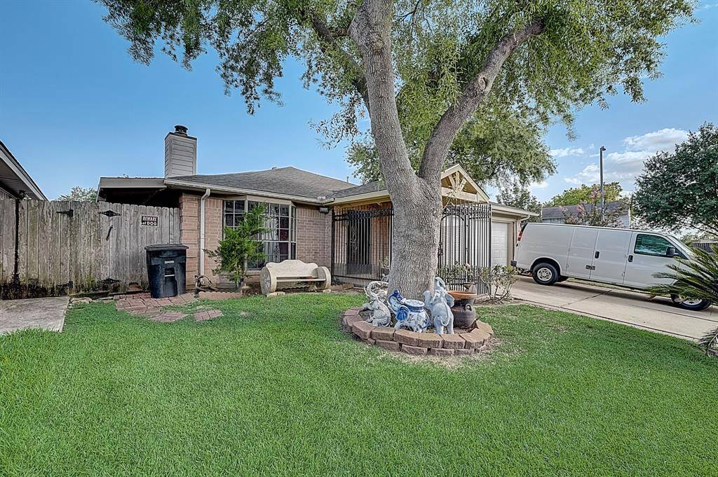 Mature Tree in center of front yard