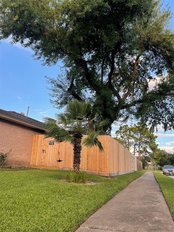 fence on this side recently installed