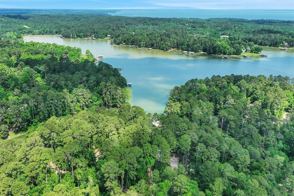 The protected location has good water depth with easy access to the main body of Lake Livingston
