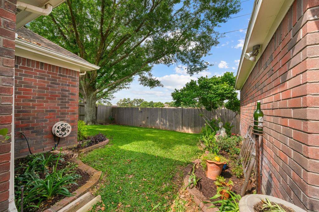 Shaded Backyard