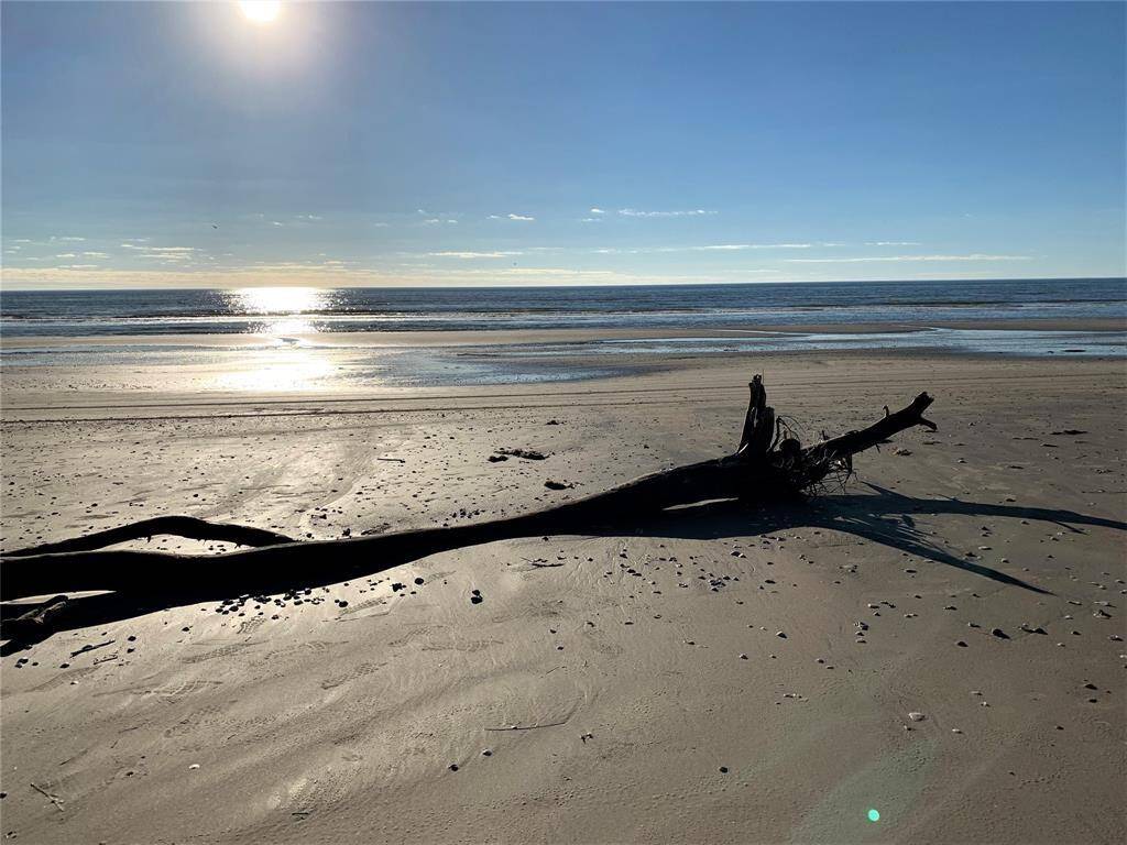 It is amazing the power of the water when you see full trees on the beach that came up over night...