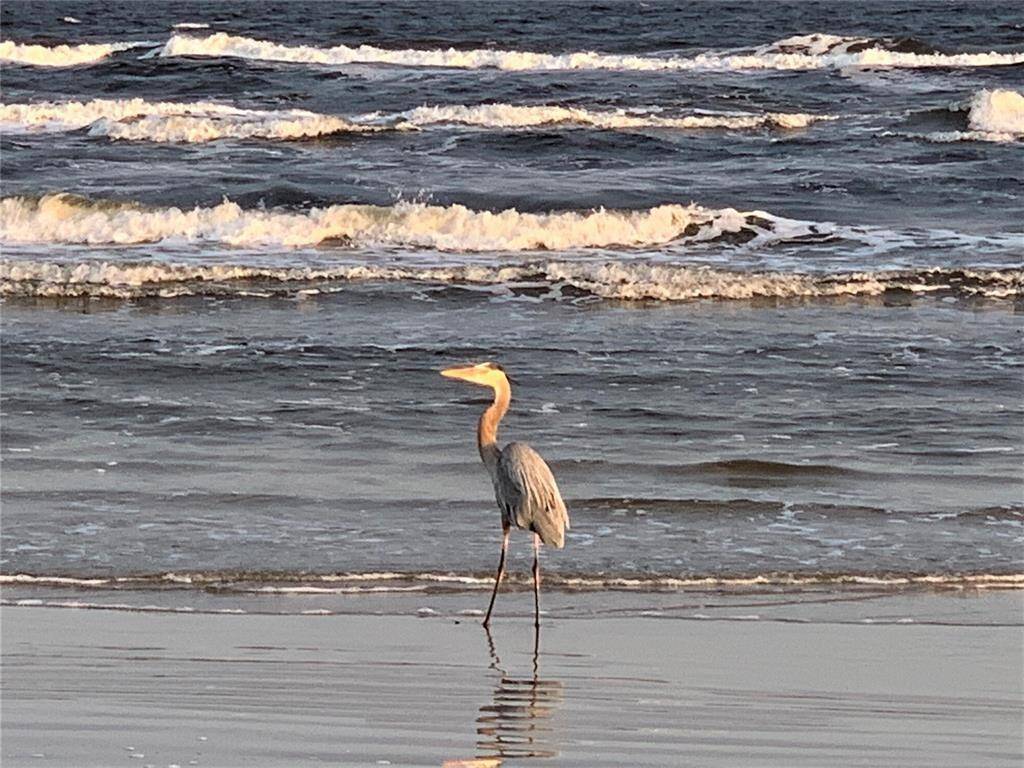 Now this guy likes to steal bait so if you see him headed your way, keep an eye on your bait...