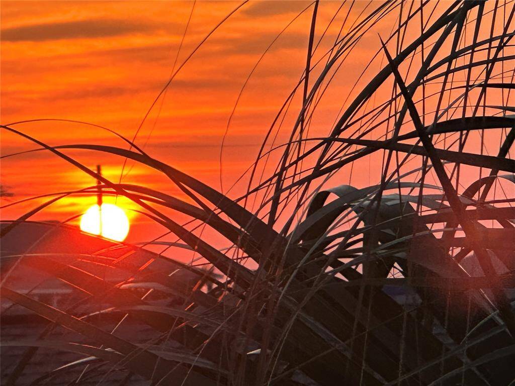 Sunsets are beautiful