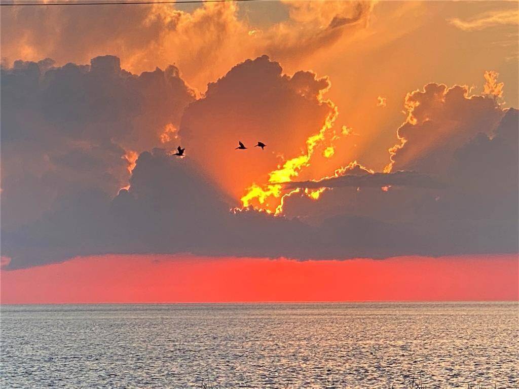 Get up early to not miss a one