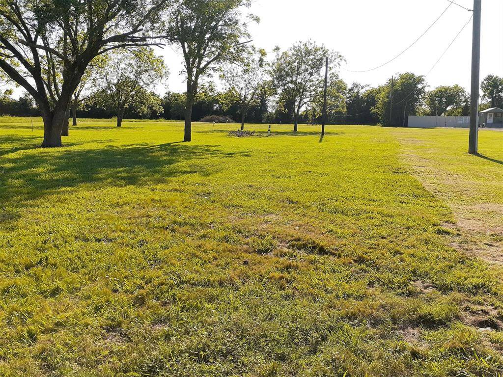 Side front yard